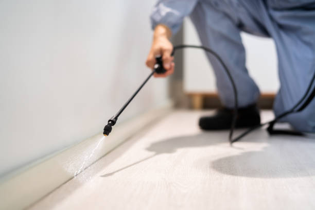 Licensed Mosquito Control service in Bellingham, WA - Show Me Pest Control