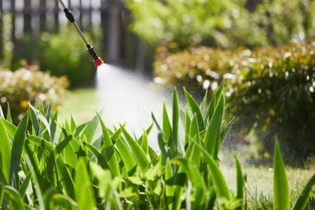 24/7 Emergency Mosquito Control experts in Bellingham, WA