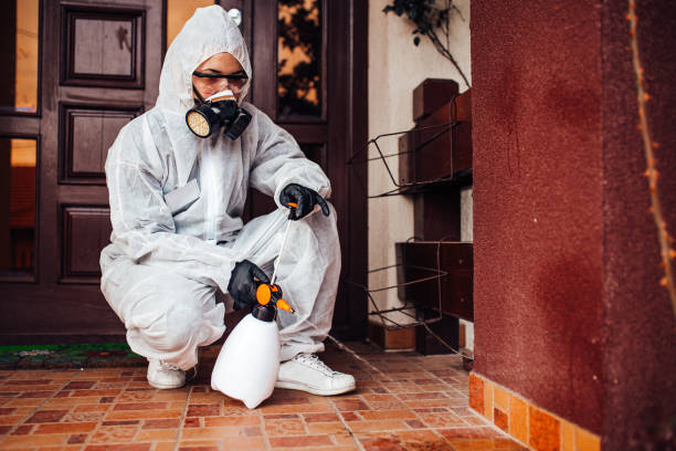 Reliable Mosquito Control contractor in Bellingham, WA by Show Me Pest Control