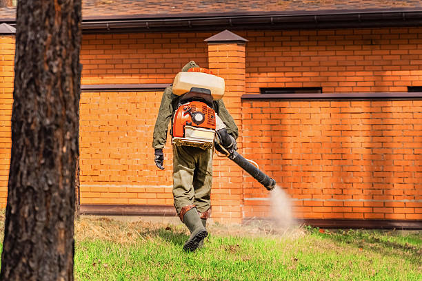 Top rated local Mosquito Control specialists in Bellingham, WA